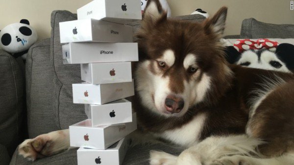 Son of China's richest man buys eight iPhone 7s for his dog